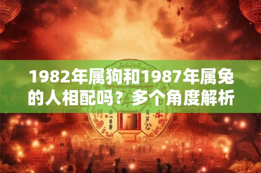 1982年属狗和1987年属兔的人相配吗?多个角度解析这一问题 1982年属狗和1987年属兔的人相配吗?多个角度解析这一问题