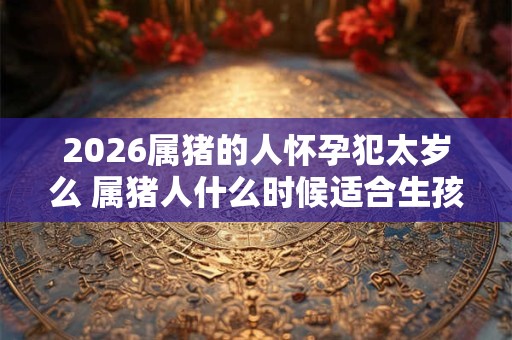 2026属猪的人怀孕犯太岁么 属猪人什么时候适合生孩子 2026属猪的人怀孕犯太岁么 属猪人什么时候适合生孩子