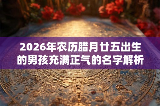 2026年农历腊月廿五出生的男孩充满正气的名字解析 2026年农历腊月廿五出生的男孩充满正气的名字解析
