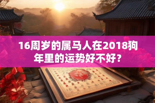 16周岁的属马人在2018狗年里的运势好不好? 16周岁的属马人在2018狗年里的运势好不好?