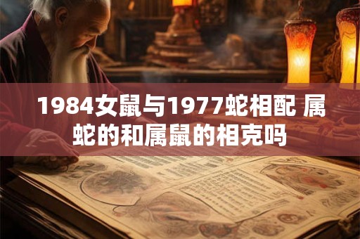 1984女鼠与1977蛇相配 属蛇的和属鼠的相克吗 1984女鼠与1977蛇相配 属蛇的和属鼠的相克吗