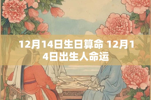 12月14日生日算命 12月14日出生人命运