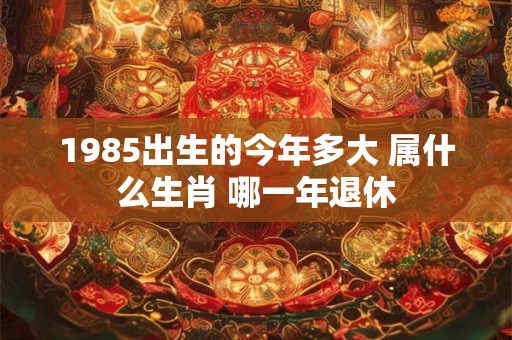 1985出生的今年多大 属什么生肖 哪一年退休