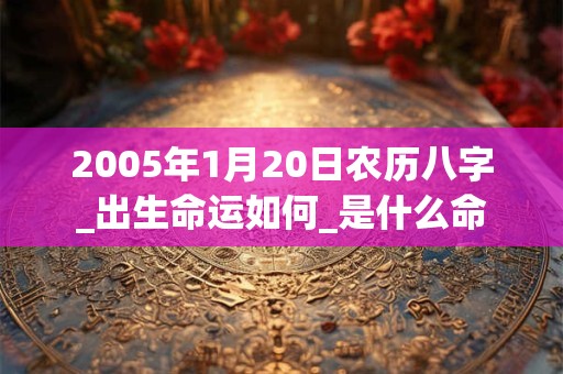 2005年1月20日农历八字_出生命运如何_是什么命 2005年1月20日农历八字_出生命运如何_是什么命