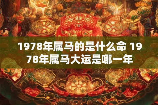 1978年属马的是什么命 1978年属马大运是哪一年 1978年属马的是什么命 1978年属马大运是哪一年