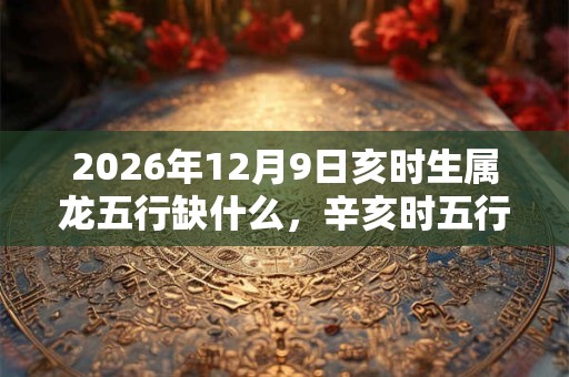 2026年12月9日亥时生属龙五行缺什么，辛亥时五行缺什么