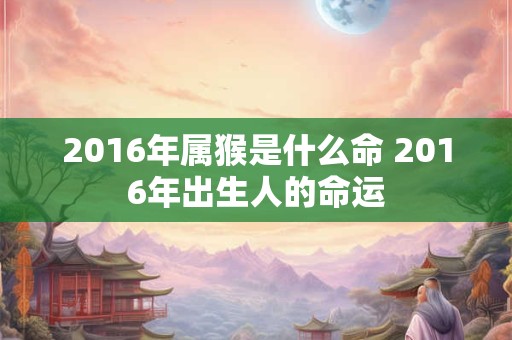 2016年属猴是什么命 2016年出生人的命运