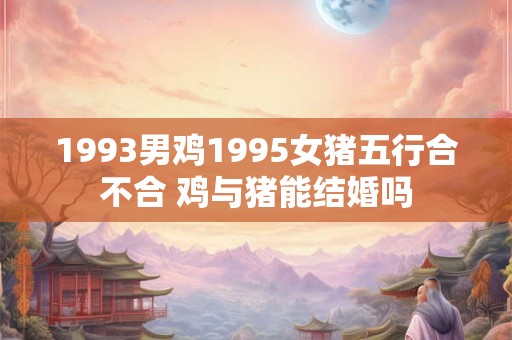 1993男鸡1995女猪五行合不合 鸡与猪能结婚吗 1993男鸡1995女猪五行合不合 鸡与猪能结婚吗