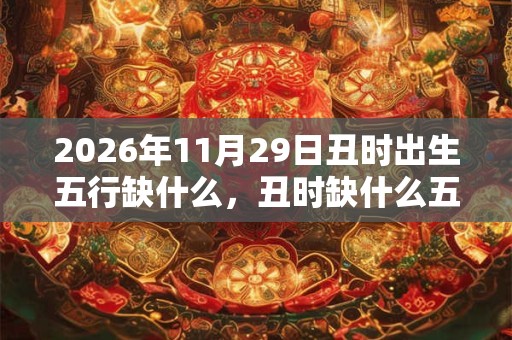 2026年11月29日丑时出生五行缺什么，丑时缺什么五行