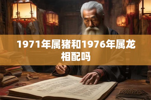 1971年属猪和1976年属龙相配吗 1971年属猪和1976年属龙相配吗