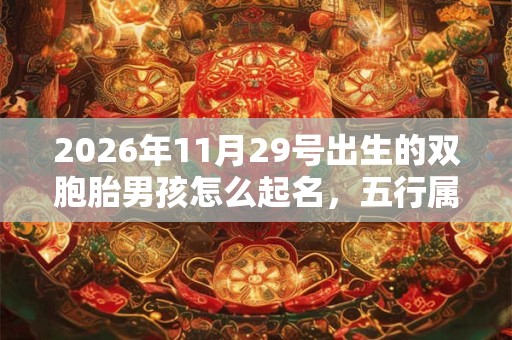2026年11月29号出生的双胞胎男孩怎么起名,五行属什么 2026年11月29号出生的双胞胎男孩怎么起名,五行属什么