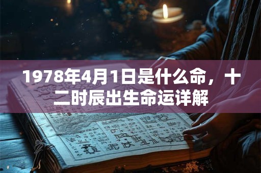 1978年4月1日是什么命，十二时辰出生命运详解