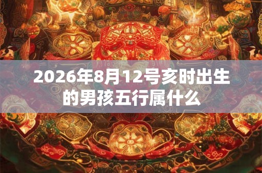 2026年8月12号亥时出生的男孩五行属什么 2026年8月12号亥时出生的男孩五行属什么