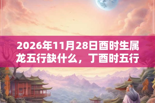2026年11月28日酉时生属龙五行缺什么，丁酉时五行缺什么