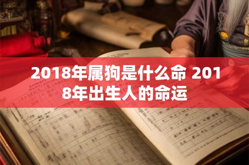 2018年属狗是什么命 2018年出生人的命运