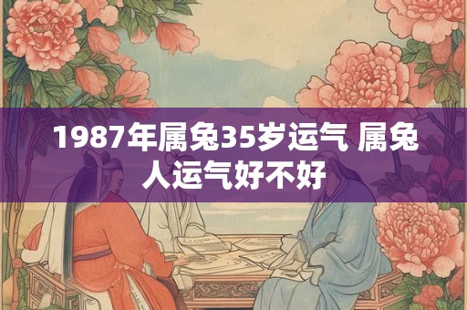 1987年属兔35岁运气 属兔人运气好不好 1987年属兔35岁运气 属兔人运气好不好