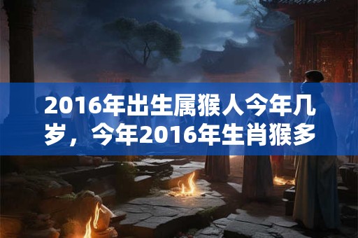 2016年出生属猴人今年几岁，今年2016年生肖猴多大