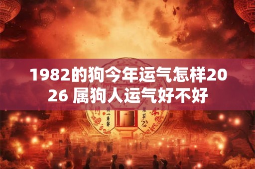 1982的狗今年运气怎样2026 属狗人运气好不好 1982的狗今年运气怎样2026 属狗人运气好不好