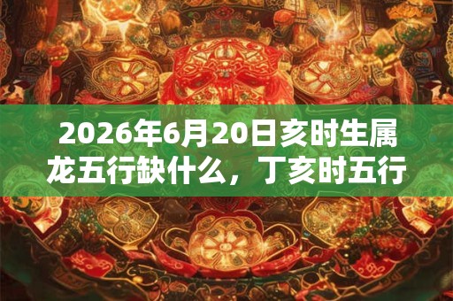 2026年6月20日亥时生属龙五行缺什么，丁亥时五行缺什么