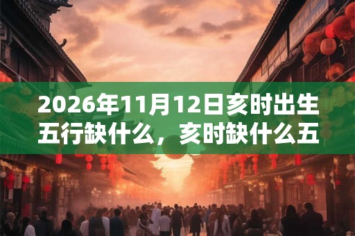 2026年11月12日亥时出生五行缺什么，亥时缺什么五行