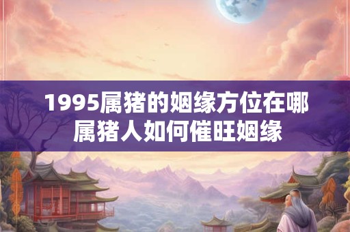 1995属猪的姻缘方位在哪 属猪人如何催旺姻缘