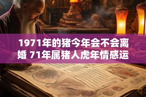 1971年的猪今年会不会离婚 71年属猪人虎年情感运势