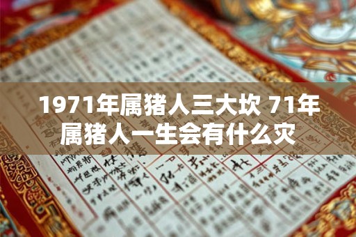 1971年属猪人三大坎 71年属猪人一生会有什么灾 1971年属猪人三大坎 71年属猪人一生会有什么灾