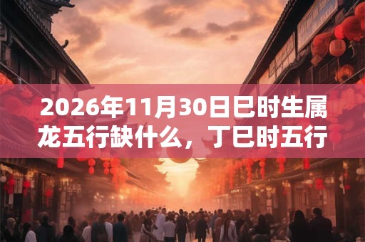 2026年11月30日巳时生属龙五行缺什么，丁巳时五行缺什么
