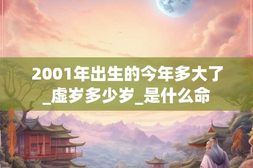 2001年出生的今年多大了_虚岁多少岁_是什么命 2001年出生的今年多大了_虚岁多少岁_是什么命