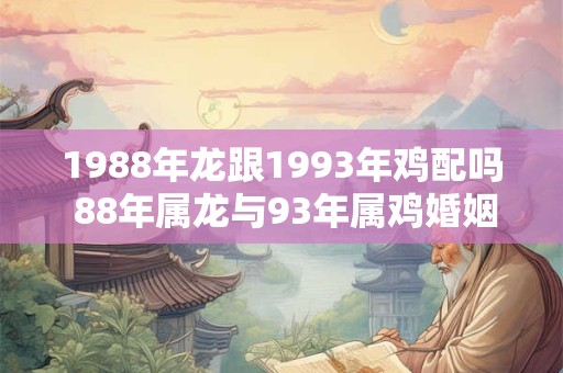 1988年龙跟1993年鸡配吗 88年属龙与93年属鸡婚姻