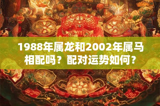 1988年属龙和2002年属马相配吗？配对运势如何？