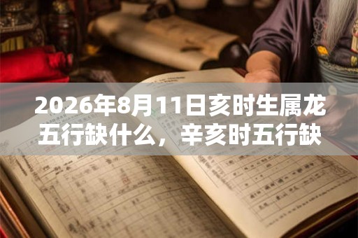 2026年8月11日亥时生属龙五行缺什么，辛亥时五行缺什么