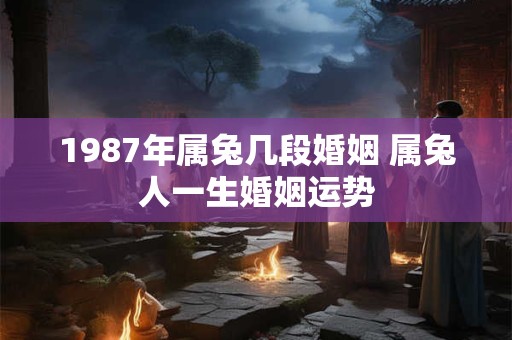 1987年属兔几段婚姻 属兔人一生婚姻运势