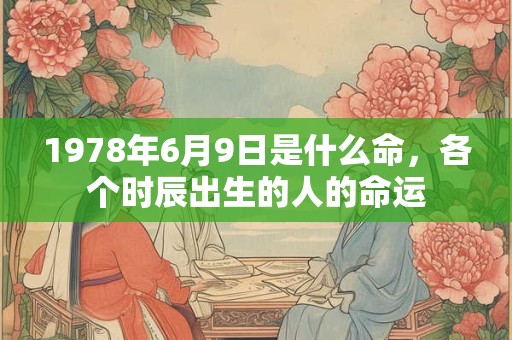 1978年6月9日是什么命，各个时辰出生的人的命运