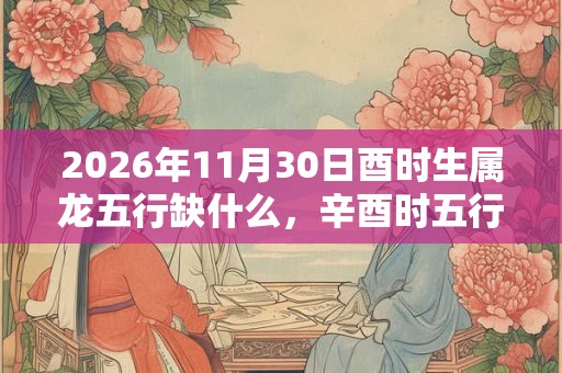 2026年11月30日酉时生属龙五行缺什么，辛酉时五行缺什么
