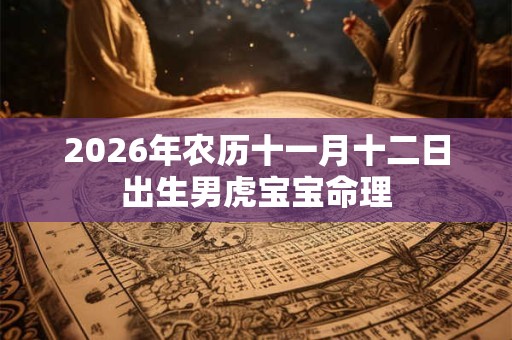 2026年农历十一月十二日出生男虎宝宝命理