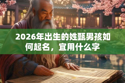 2026年出生的姓甄男孩如何起名,宜用什么字 2026年出生的姓甄男孩如何起名,宜用什么字