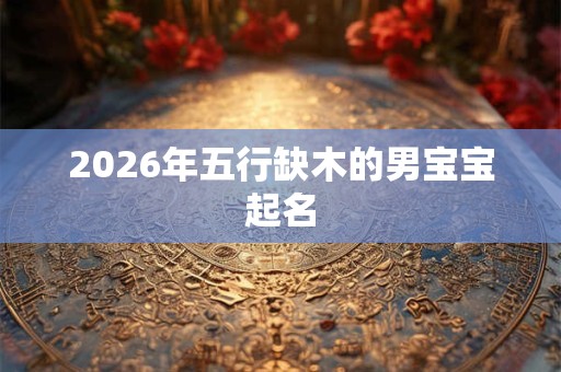 2026年五行缺木的男宝宝起名 2026年五行缺木的男宝宝起名