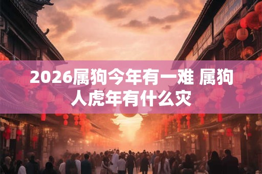 2026属狗今年有一难 属狗人虎年有什么灾