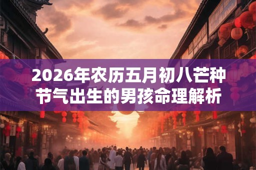 2026年农历五月初八芒种节气出生的男孩命理解析 2026年农历五月初八芒种节气出生的男孩命理解析