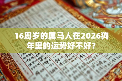 16周岁的属马人在2026狗年里的运势好不好？