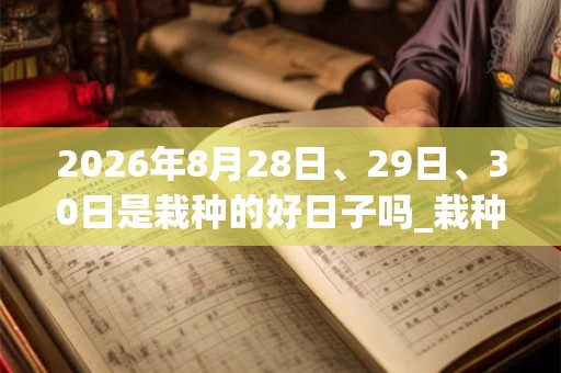 2026年8月28日、29日、30日是栽种的好日子吗_栽种可以吗 2026年8月28日、29日、30日是栽种的好日子吗_栽种可以吗