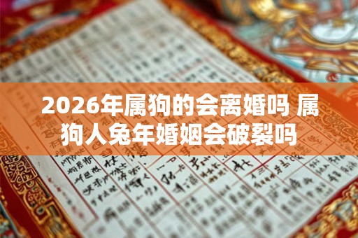 2026年属狗的会离婚吗 属狗人兔年婚姻会破裂吗