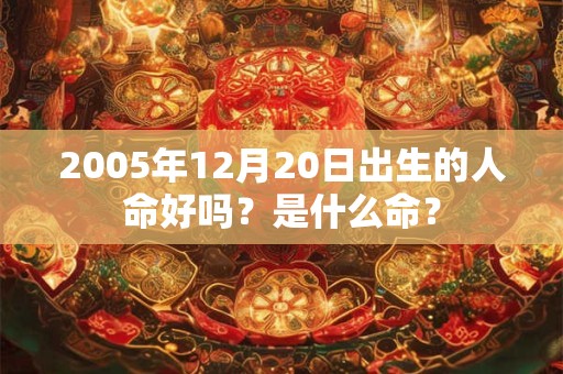 2005年12月20日出生的人命好吗？是什么命？