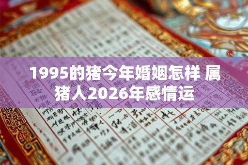 1995的猪今年婚姻怎样 属猪人2026年感情运