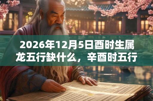 2026年12月5日酉时生属龙五行缺什么，辛酉时五行缺什么