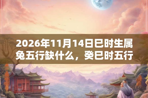 2026年11月14日巳时生属兔五行缺什么,癸巳时五行缺什么 2026年11月14日巳时生属兔五行缺什么,癸巳时五行缺什么