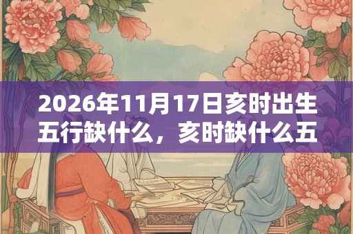 2026年11月17日亥时出生五行缺什么，亥时缺什么五行