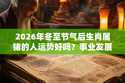 2026年冬至节气后生肖属猪的人运势好吗？事业发展顺利吗？