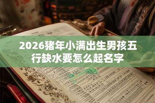 2026猪年小满出生男孩五行缺水要怎么起名字 2026猪年小满出生男孩五行缺水要怎么起名字